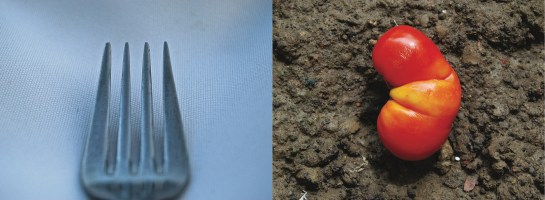 Page from the visual book TRACT Page from the visual book TRACT