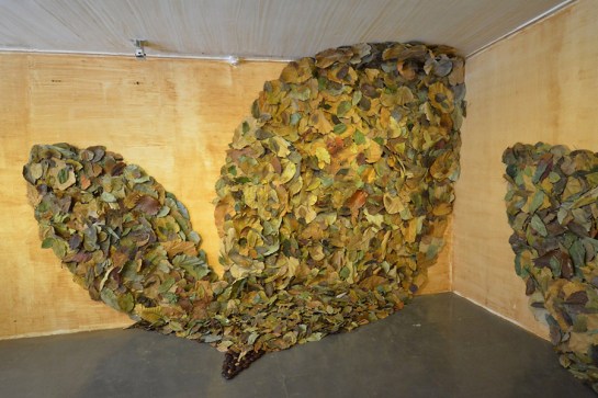 Re-leaf Seed Of Reckoning