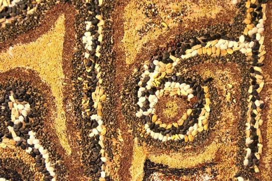 Pro-seed Seed Of Reckoning