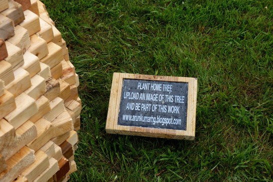 Plant Home Tree Plant Home Tree